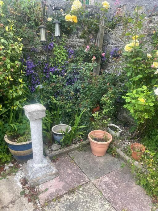 Ivybridge Cottage Exterior foto
